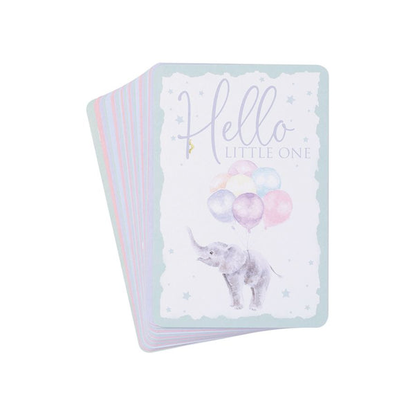 Baby Animal Milestone Cards