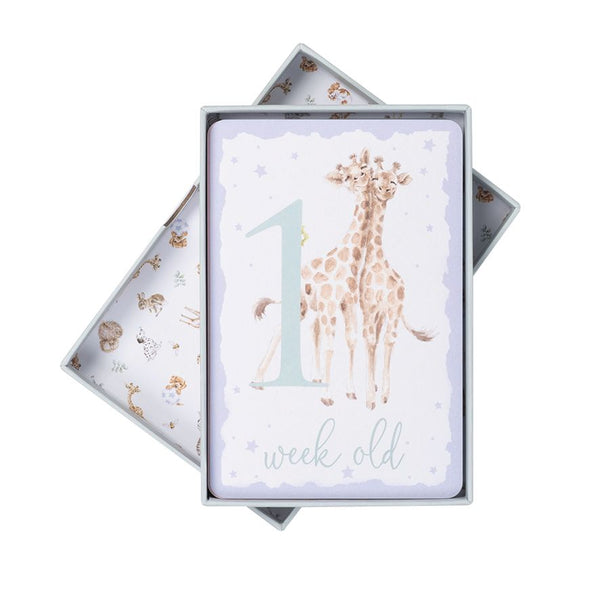 Baby Animal Milestone Cards