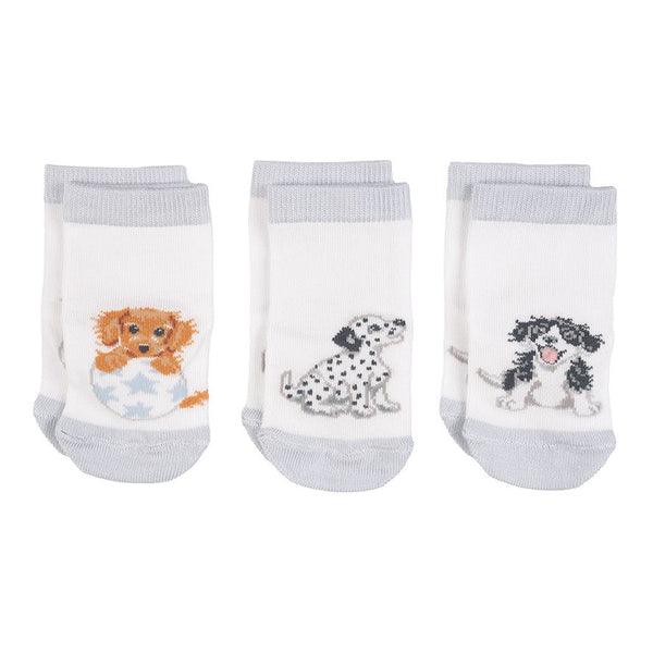 Aminal Paw Socks – BrattyLittleBaddies