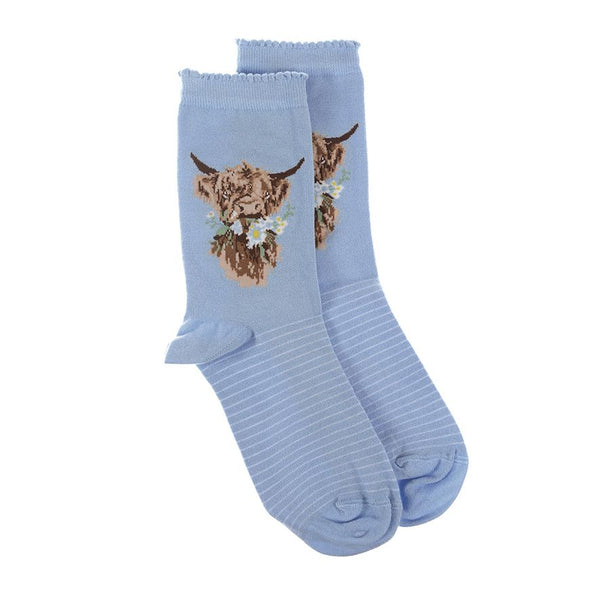 'Daisy Coo' highland cow socks