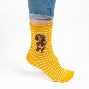 'Little One' dachshund Socks