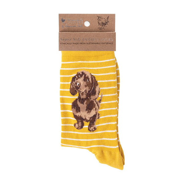 'Little One' dachshund Socks